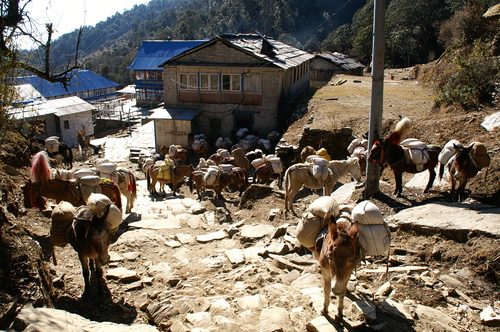 2005_nepaltrip_083